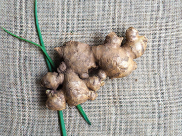Chinese Old Ginger 老姜