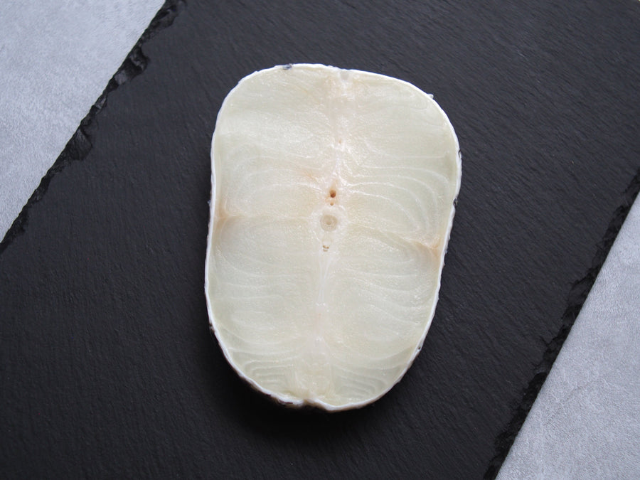 Wild-Caught Chilean Cod 鳕鱼